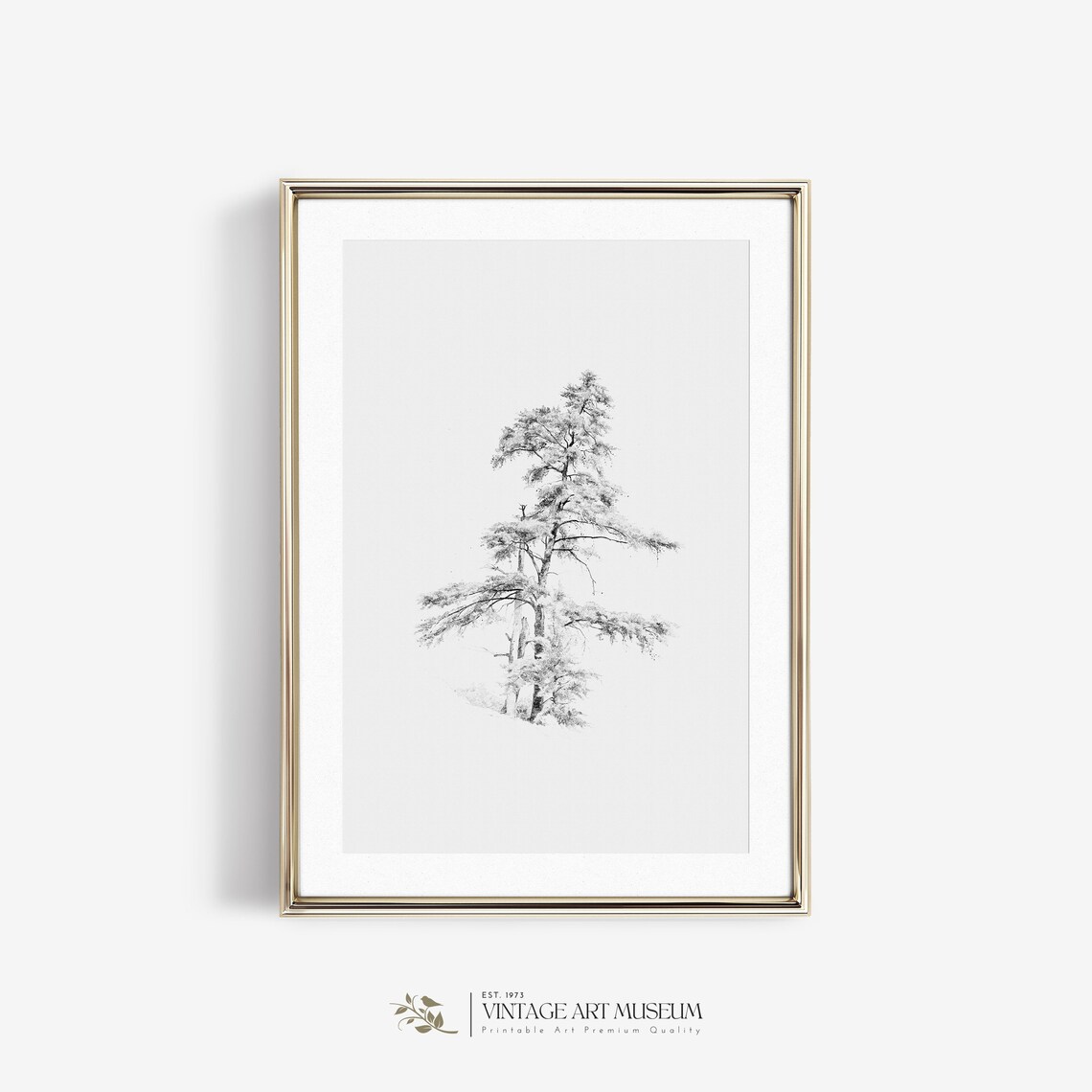 Antique Pine Tree Sketch Vintage Art Print - Image 2