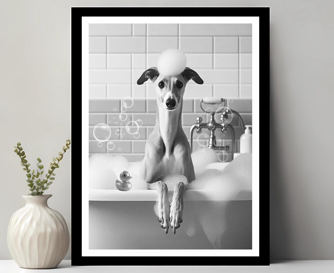 Greyhound Wall Art Funny Bathroom Decor Pet Portrait Petshop Dog Gift In Bubble Bath
