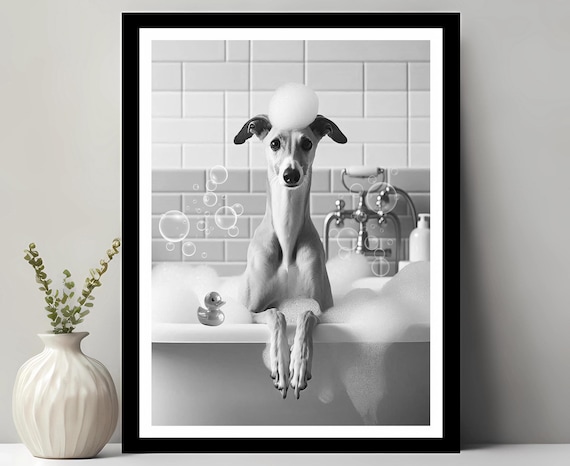 Greyhound Wall Art Funny Bathroom Decor Pet Portrait Petshop Dog Gift In Bubble Bath