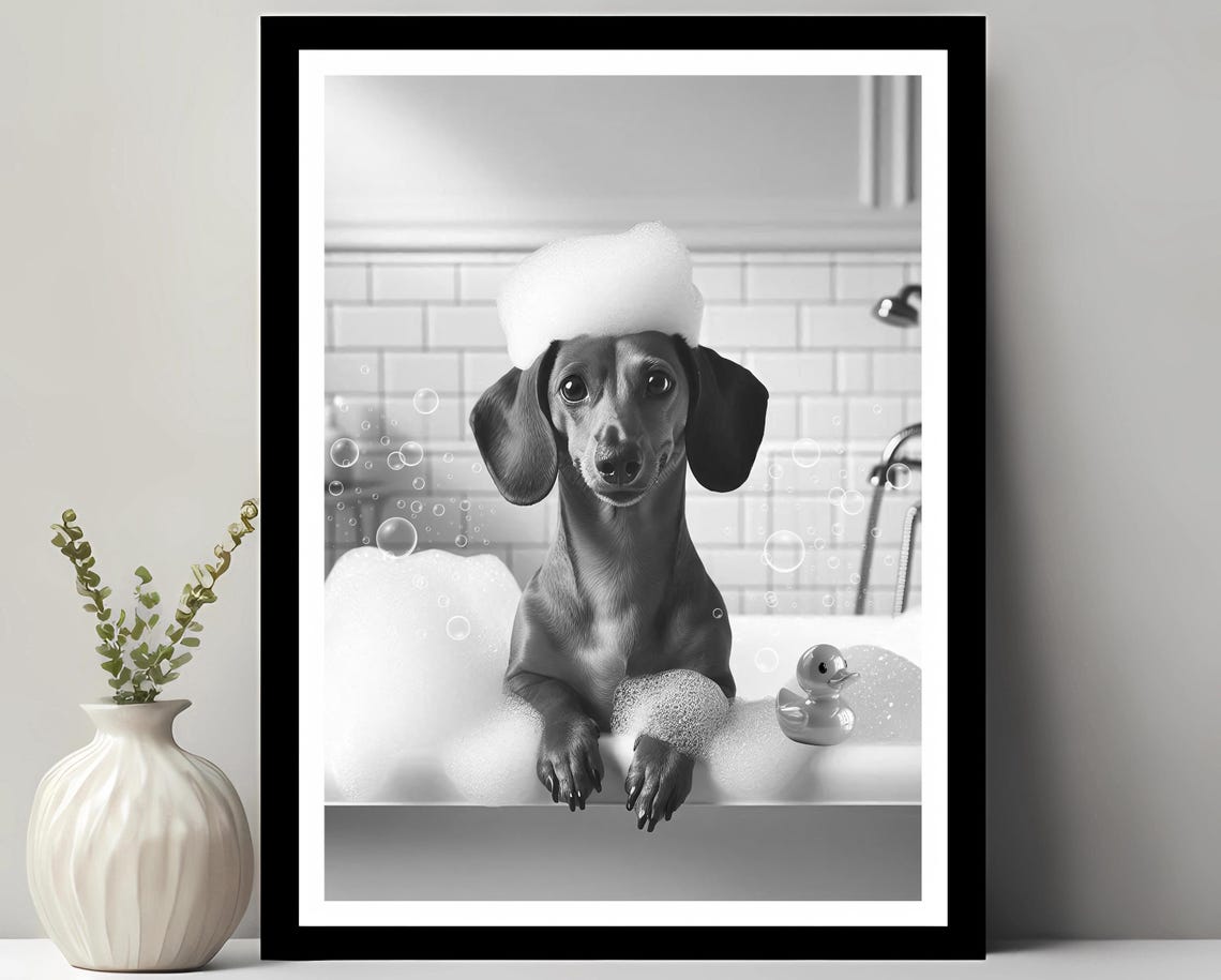 Cute Dachshund In A Bubble Bath With Rubber Duck Bathroom Poster