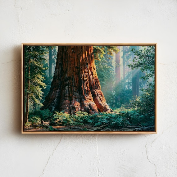 Sequoia Giant Redwood Trees Sunlit Forest Vintage Nature Poster