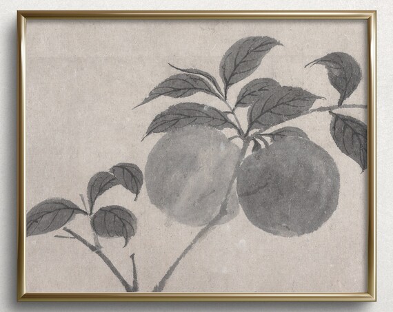 Fruit Tree Ii Kitchen Wall Art Vintage Kitchen Prints Vintage Watercolor Painting M2