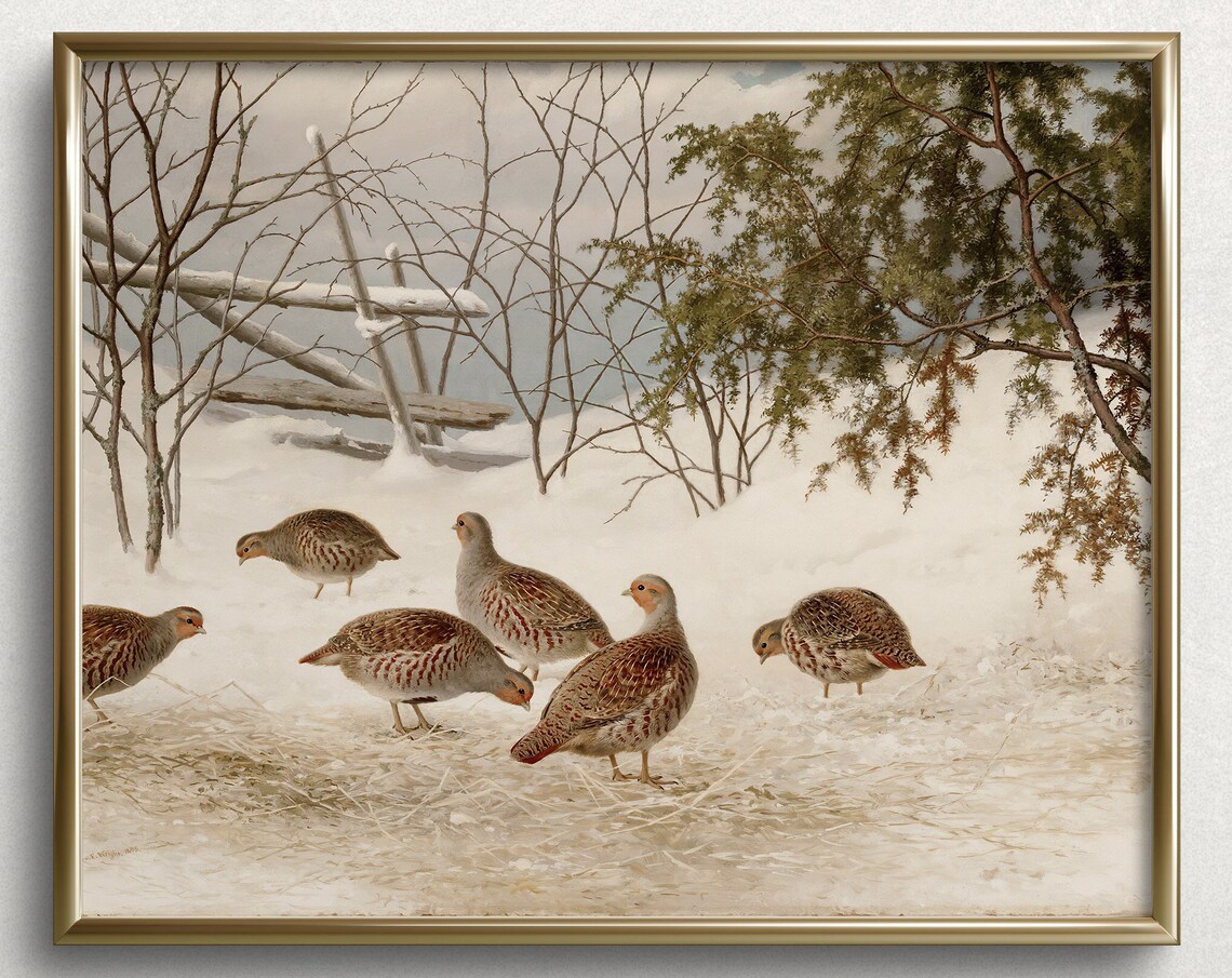 Winter Quail and Partridge, Vintage Bird Art Print