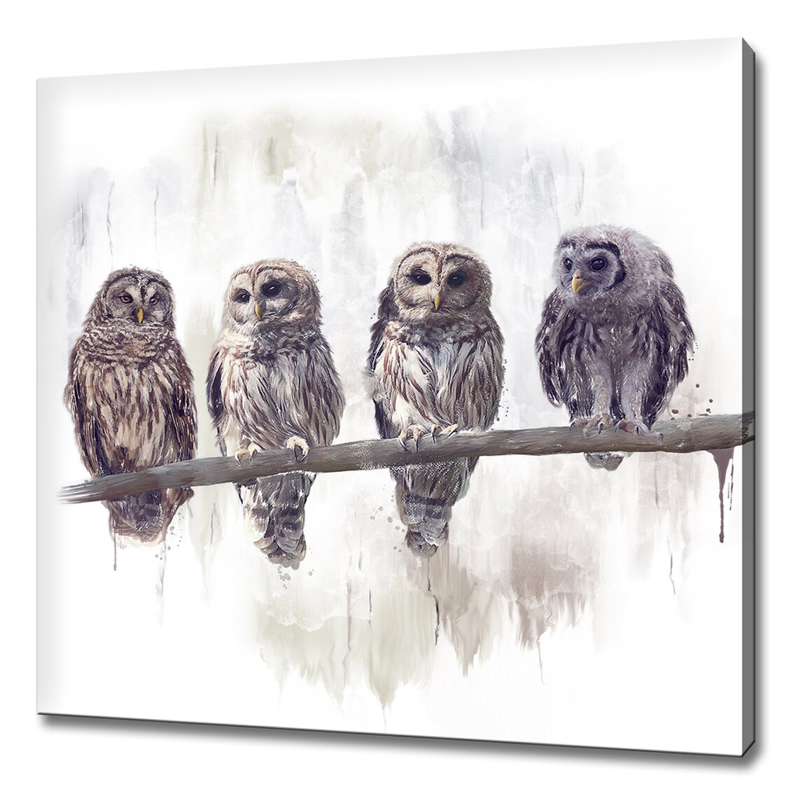 Barn Owls Colorful Art Print, Bird Wall Decor