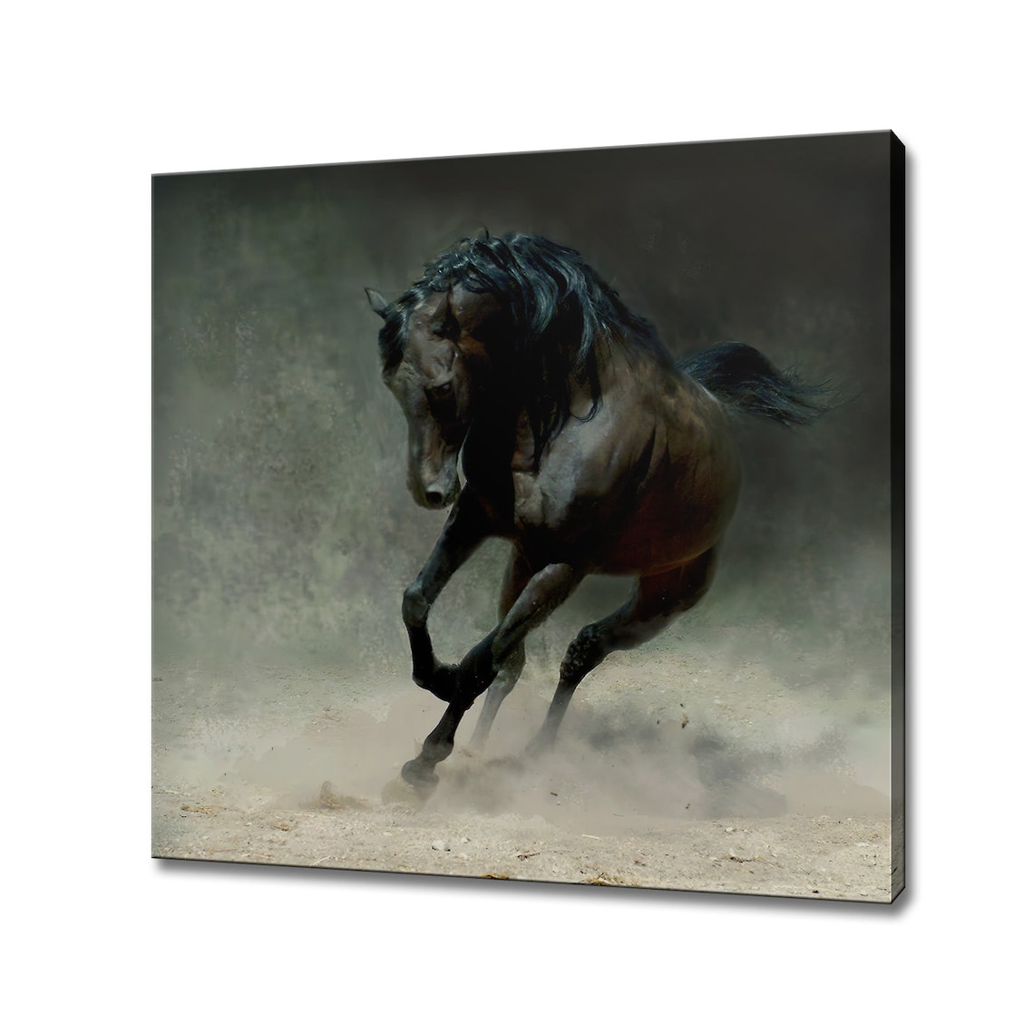 Black Arabian Horse Art Print, Home Wall Decor