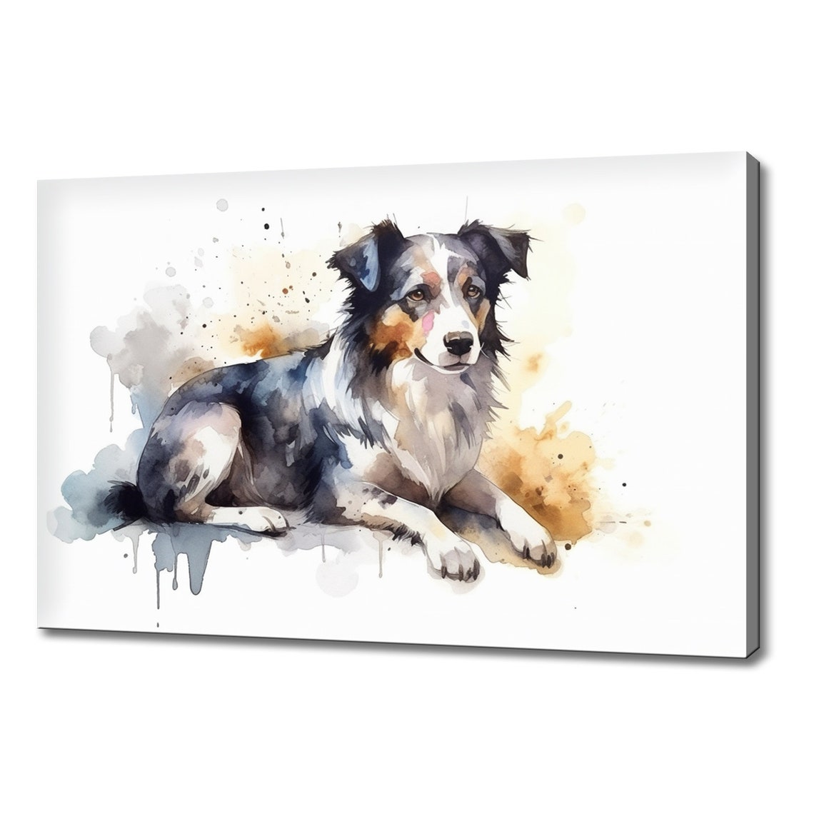 Border Collie Lying Down Grey Blue Coat Splash Watercolour Art Print