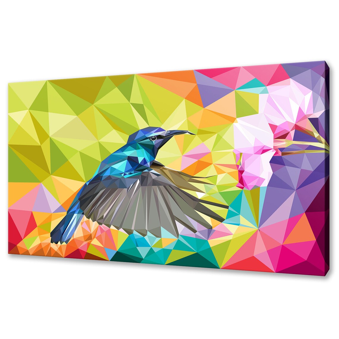 Humming Bird Colorful Art Print, Bird Wall Decor