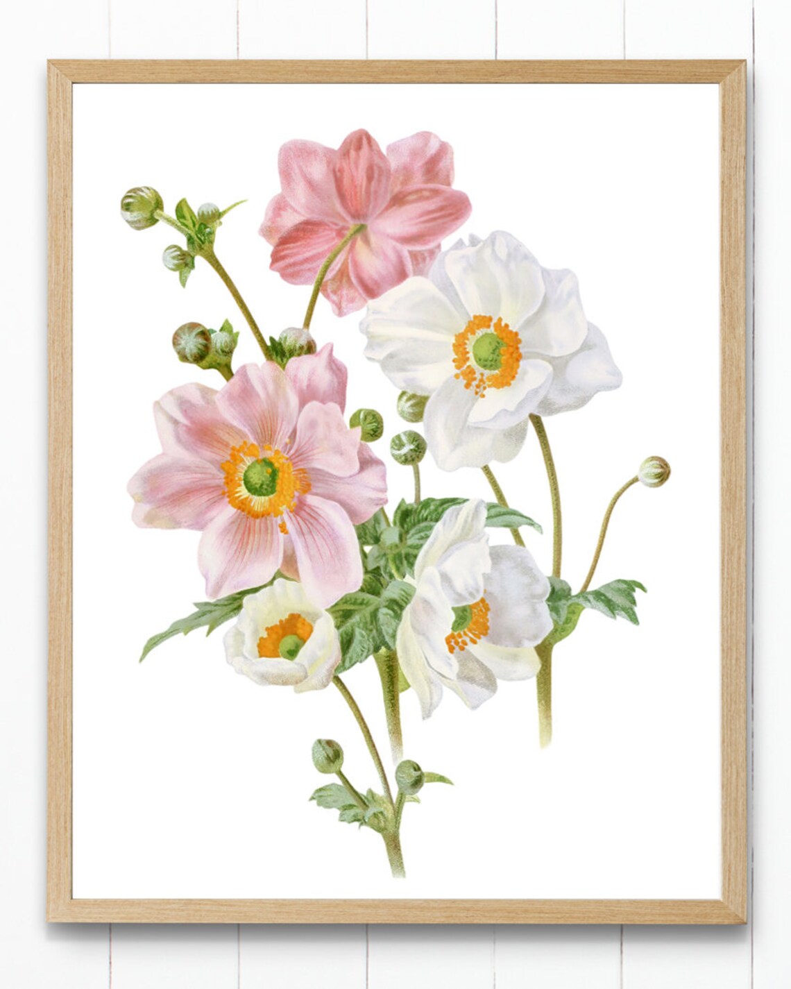 Pink and White Anemone Bouquet Vintage Botanical Flower Art Poster - Image 4