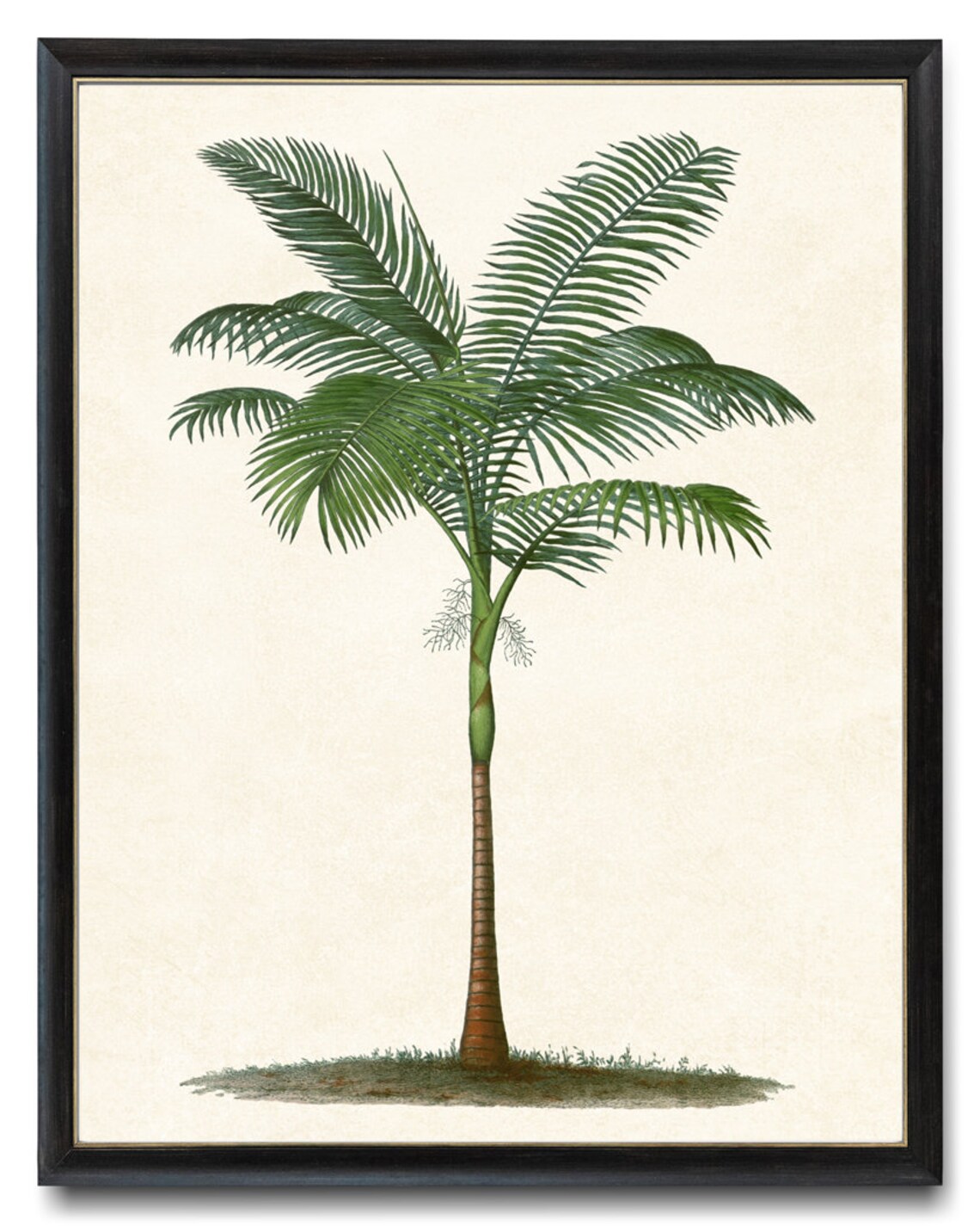 Tropical Palm Tree Print Vintage Illustration Elegant Palm Botanical Wall Art Instant - Image 4