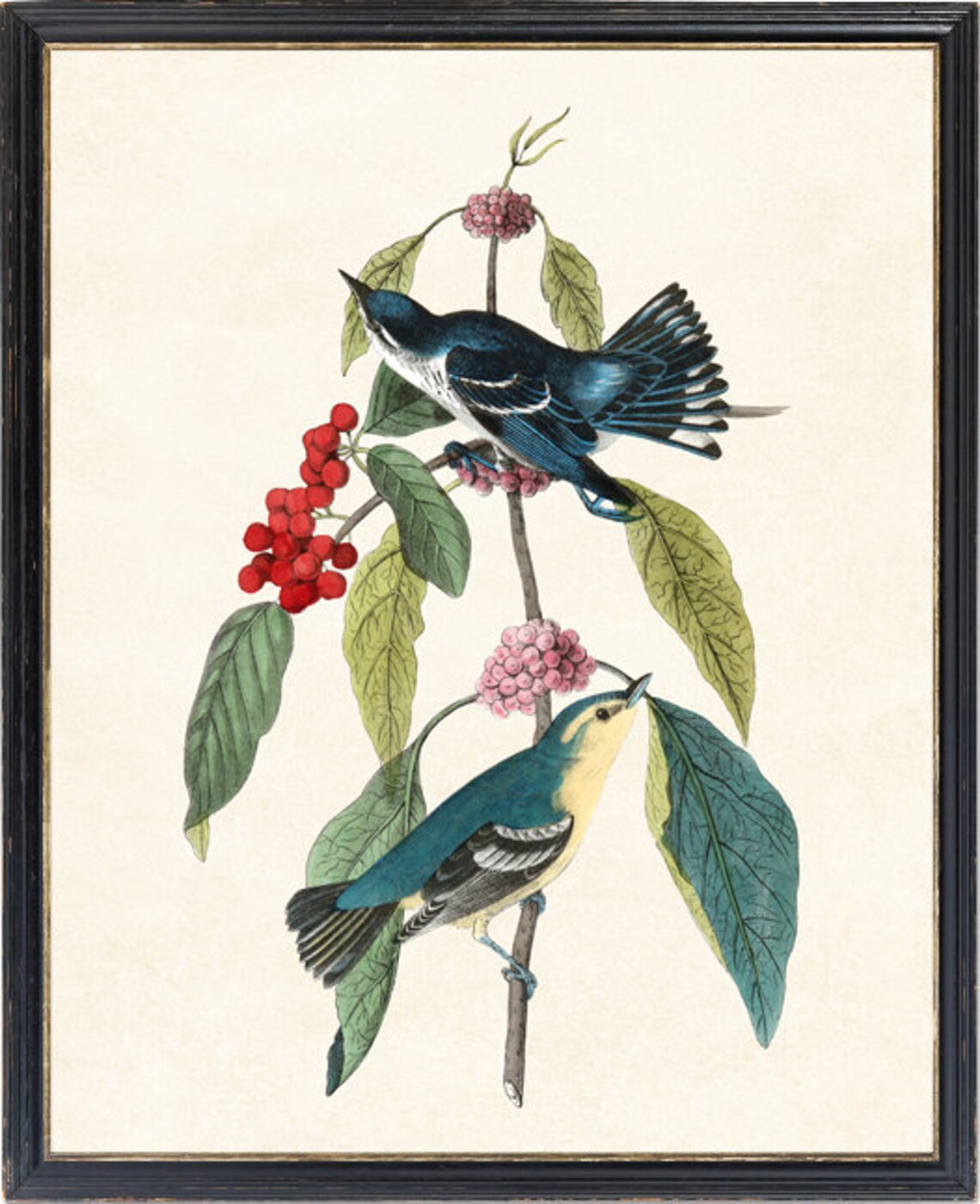 Cerulean Warbler Vintage Bird and Botanical Print - Image 2