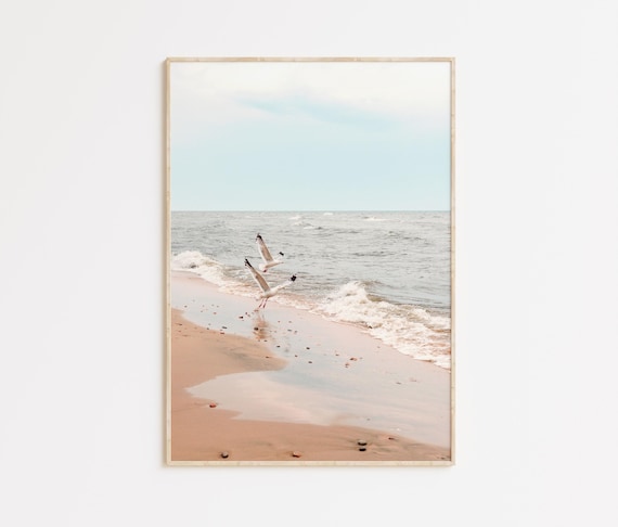 Seagulls Flying Over Sandy Beach Ocean Waves Serene Photo Poster