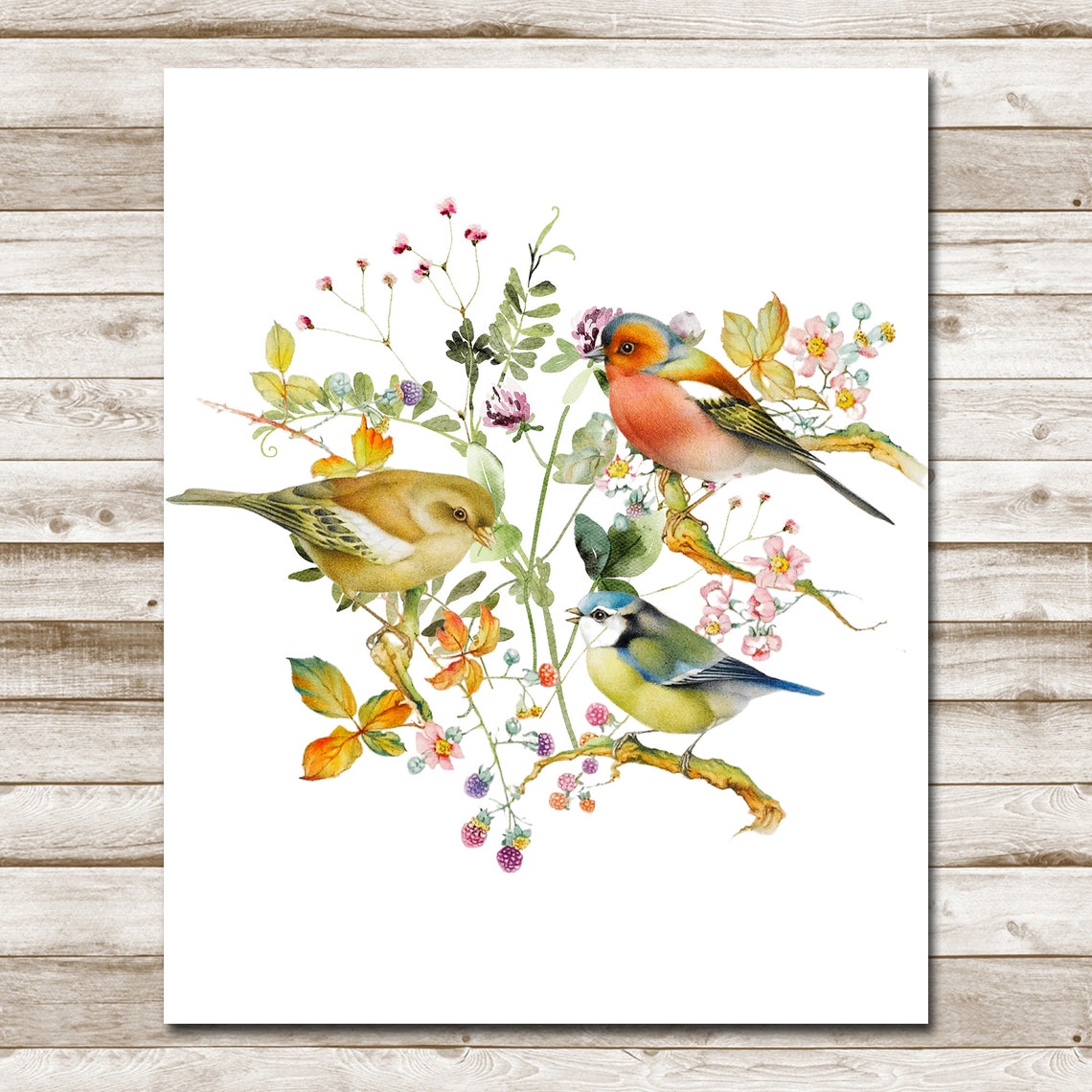 Spring Songbirds Chaffinch And Blue Tit Floral Watercolor Poster - Image 5