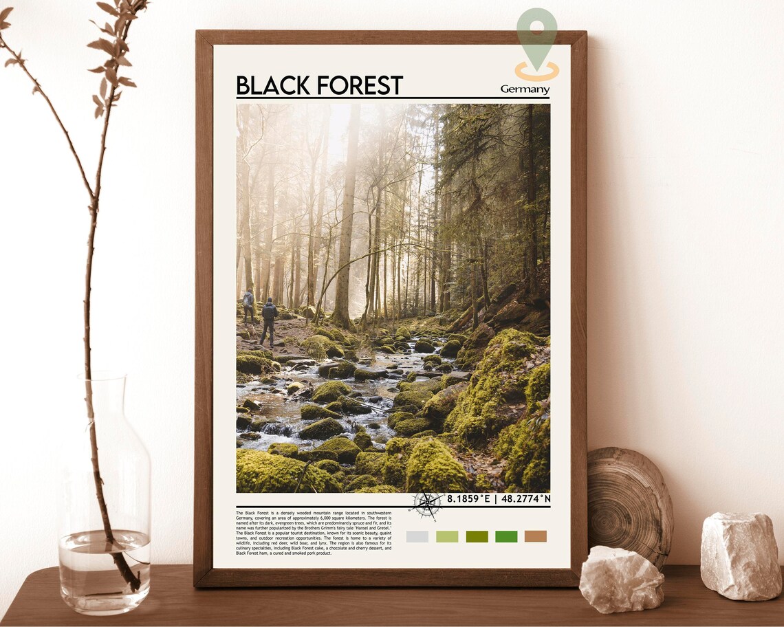 Black Forest Germany Mossy Stream Forest Hiking Trail Poster