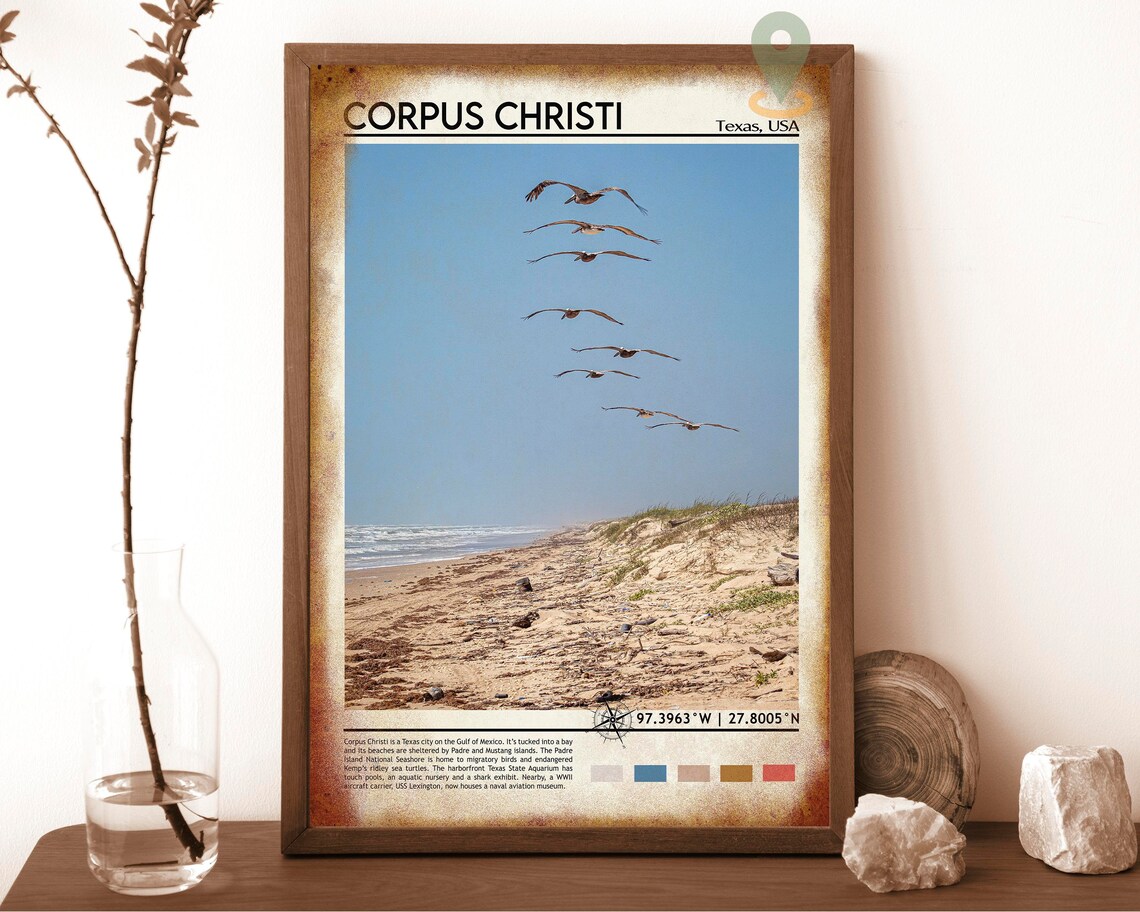Corpus Christi Texas Pelican Beach Photo Gulf Coast Travel Wall Art - Image 6
