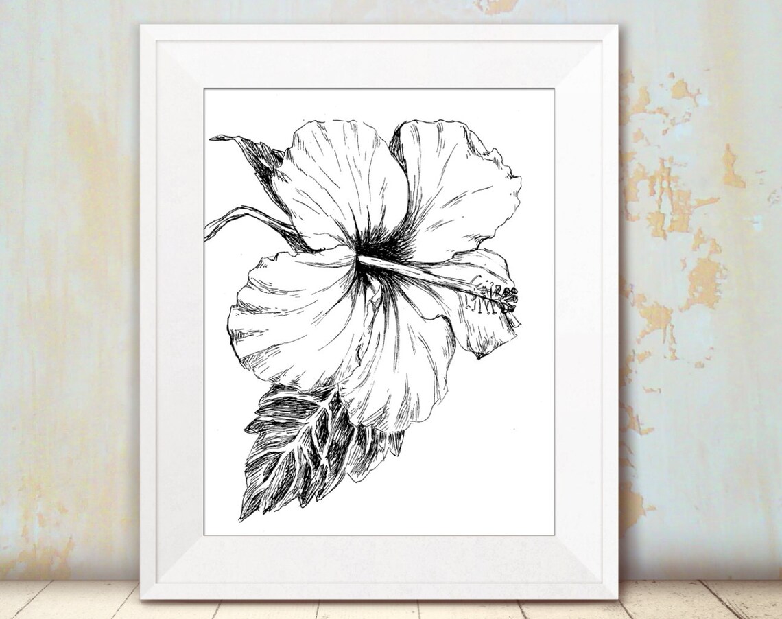 Black And White Hibiscus Botanical Art Print - Image 2