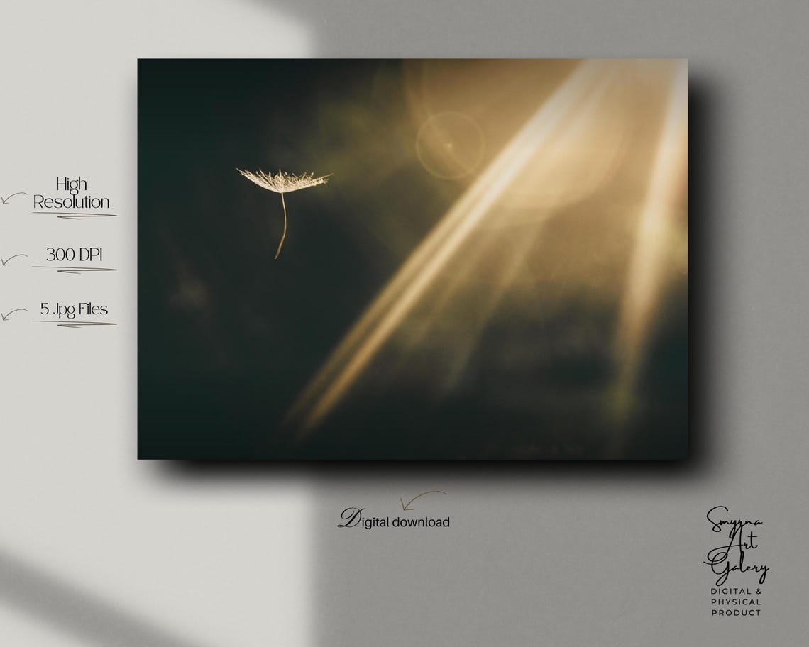 Minimalist Dandelion Seed Wall Art With Light Beams Moody Botanical Photography Golden Hour For Calm Decor