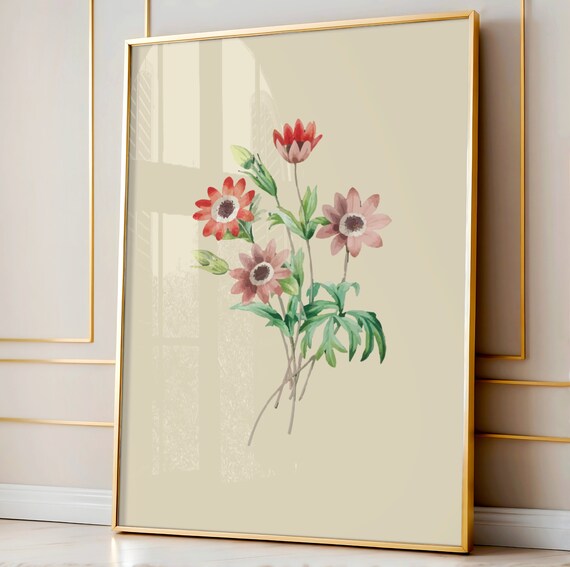 Botanical Wall Art Floral Decor Posters Colorful Flower Boho Poster Prints Print