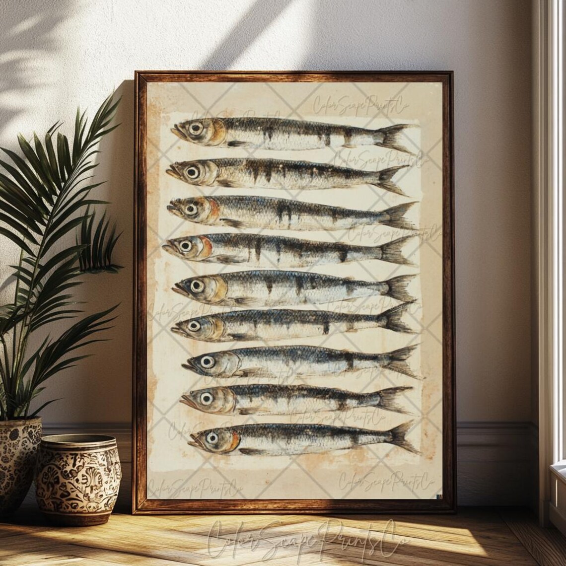Vintage Sardine Fish School Natural History Illustration Art Poster - Image 3