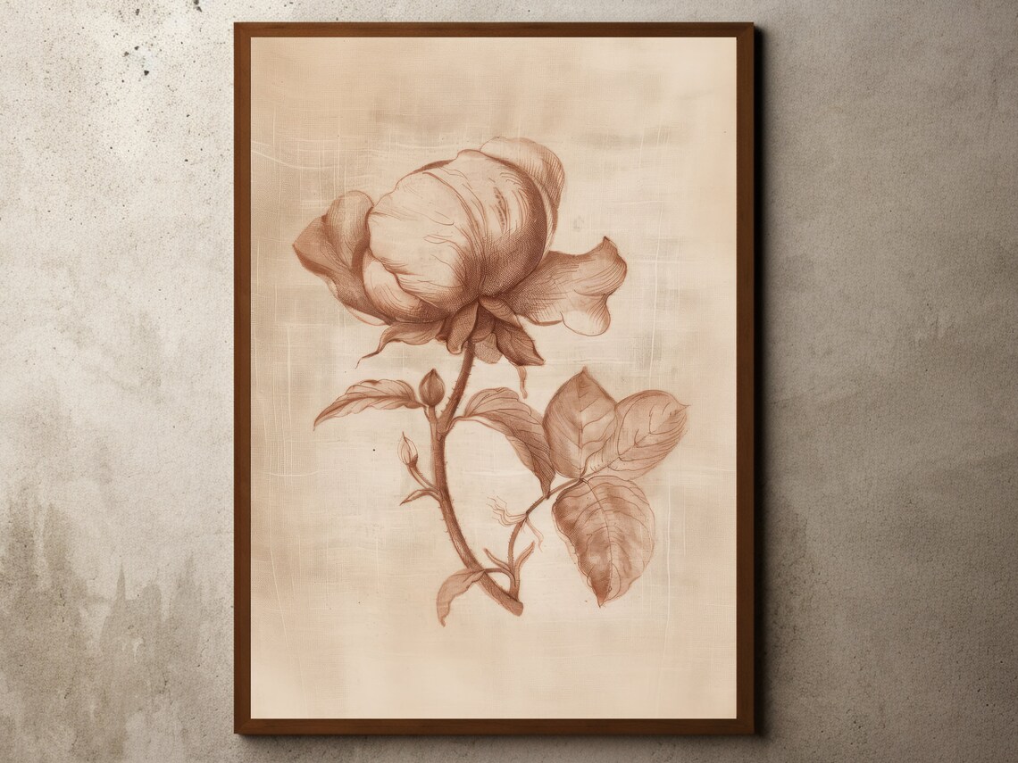 Sepia Rose Botanical Sketch Antique Floral Drawing Farmhouse Poster
