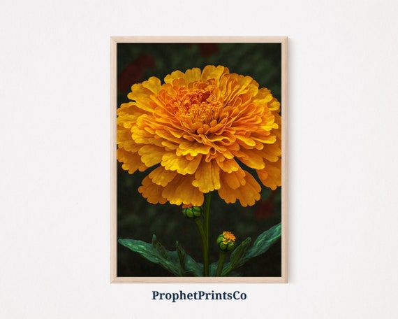 Marigold Poster Print Botanical Wall Art October Birth Flower Gift Moody Floral Home Dcor Wall Art Digitial