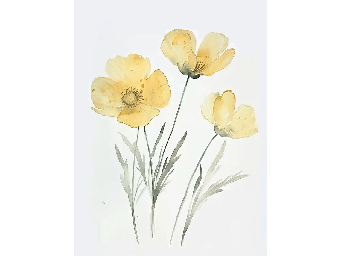 Buttercup Painting Watercolor Art Print, Spring Botanical