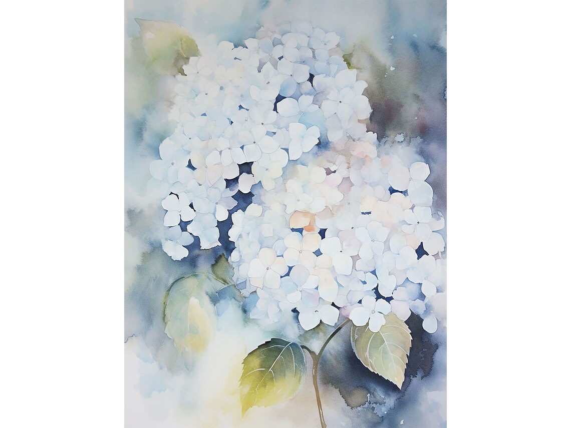 Hydrangea Watercolor Botanical Art Print, Farmhouse