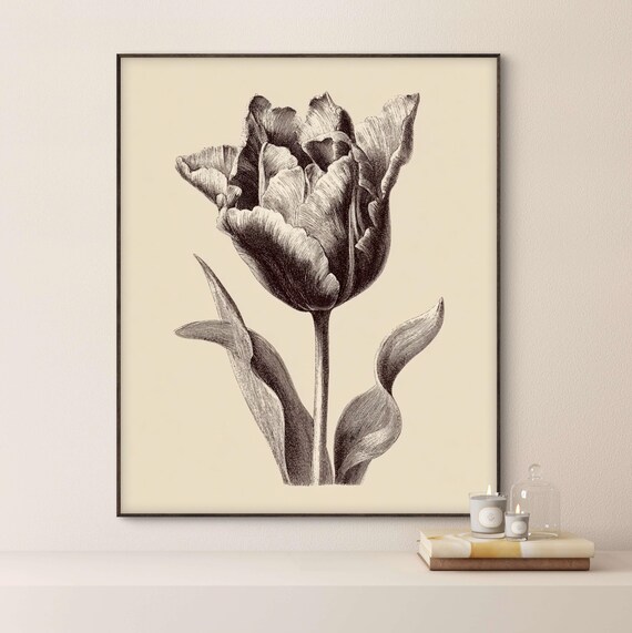 Vintage Botanical Flower Wall Art Antique Floral Illustration