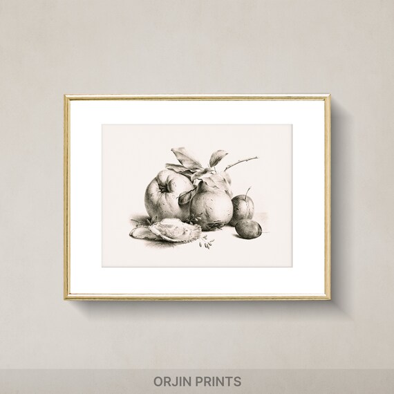 Fruity Delight Colorful Fruit Art Print Detailed Painting Wall Decor Instant Orjin Prints 1104