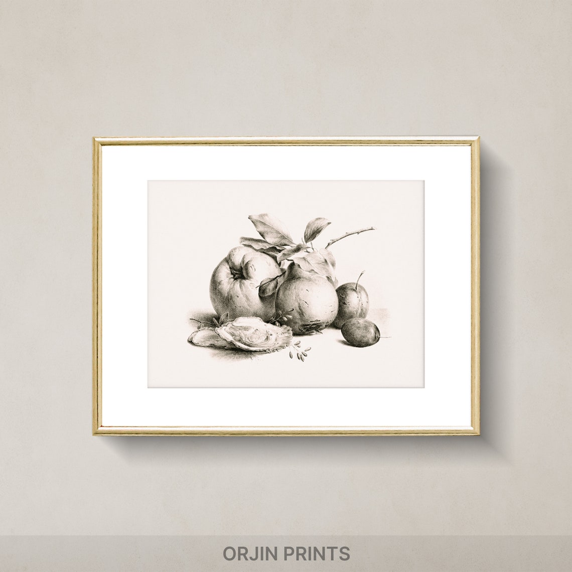 Classic Fruit Still Life Sketch Apples Plums Vintage Drawing Wall Art