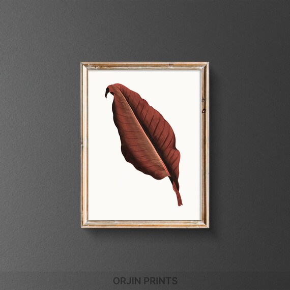 Terracotta Tropical Leaf Botanical Minimalist Modern Art Poster