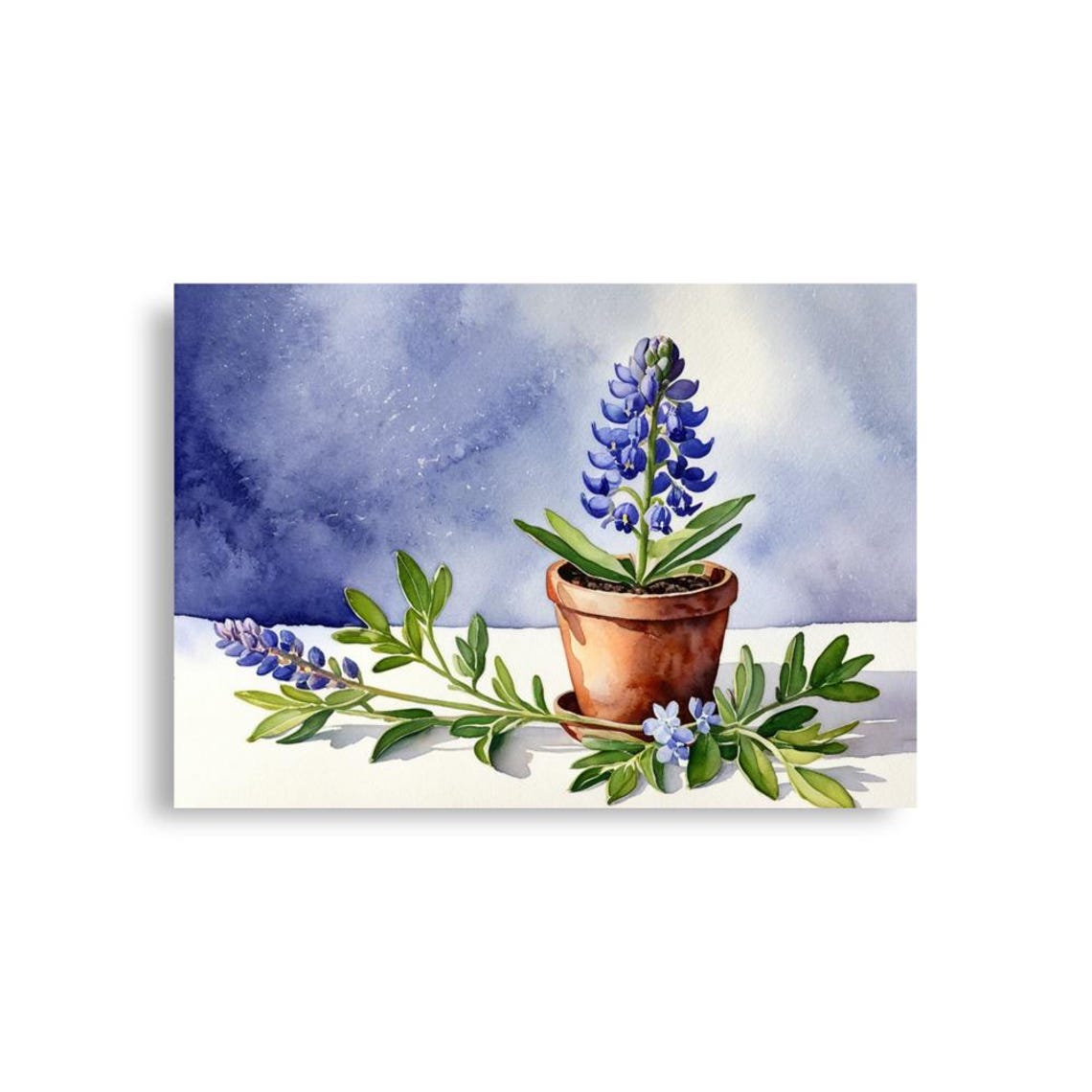 Potted Bluebonnets In Terracotta Pot Watercolor Botanical Poster - Image 6
