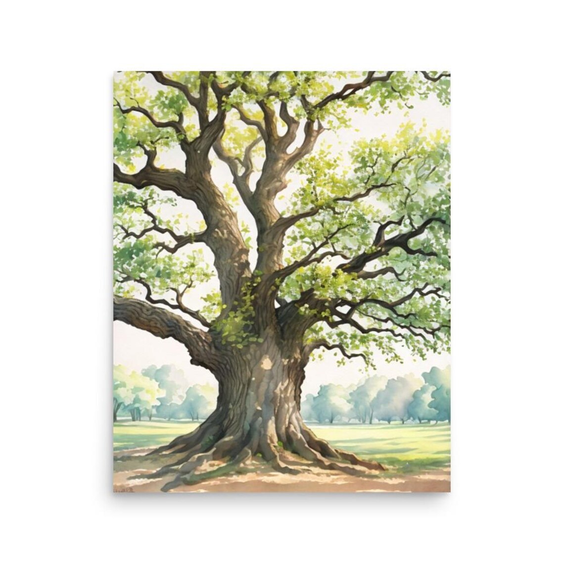 Oak Tree Watercolor Art Print, Louisiana Oak Park - Image 3