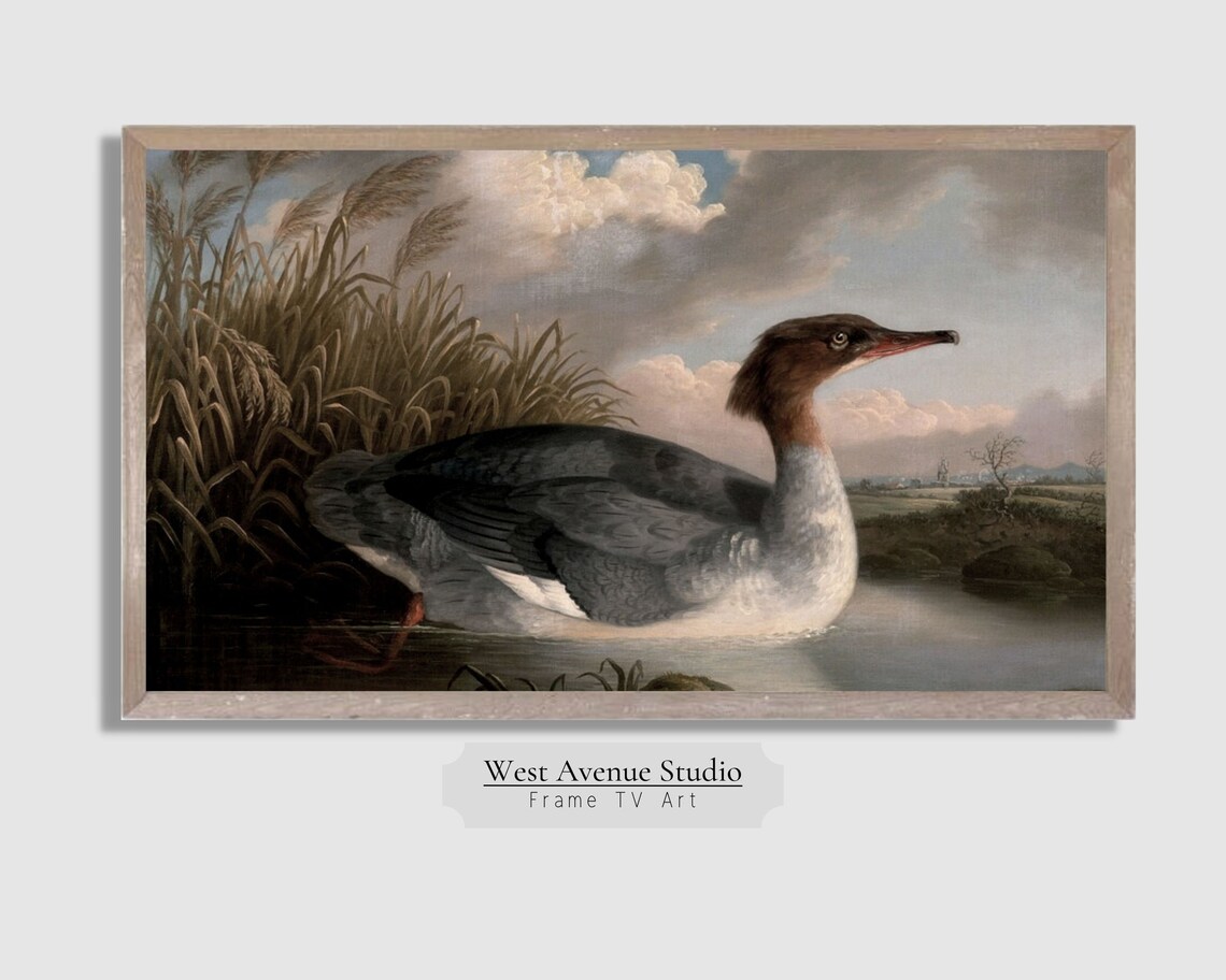 Vintage Duck Waterfowl Painting Reeds River Wildlife Nature Art Poster