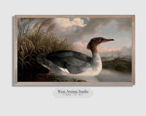 Vintage Duck Waterfowl Painting Reeds River Wildlife Nature Art Poster