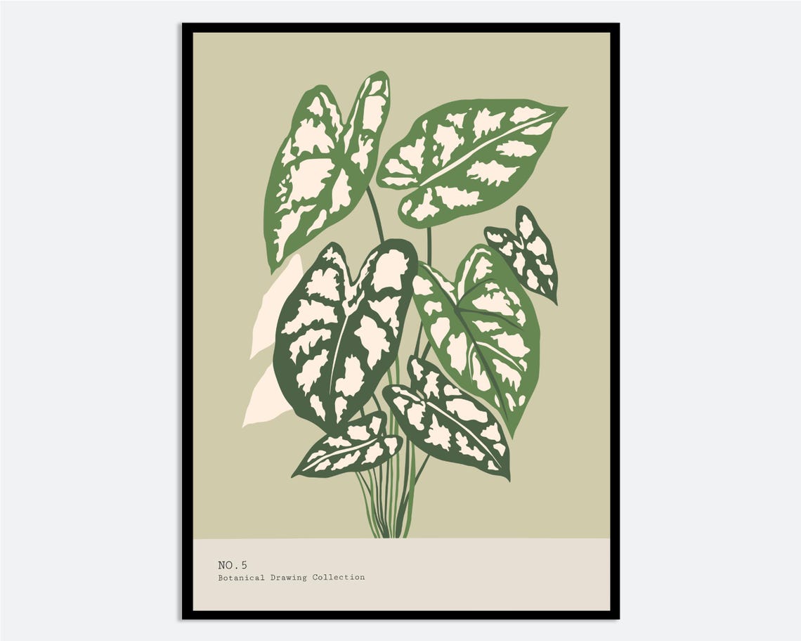 Caladium Leaves Wall Art Print Hand Drawn Contemporary Botanical Illustration Modern Plant Poster Tropical Leaf Decor Ma145