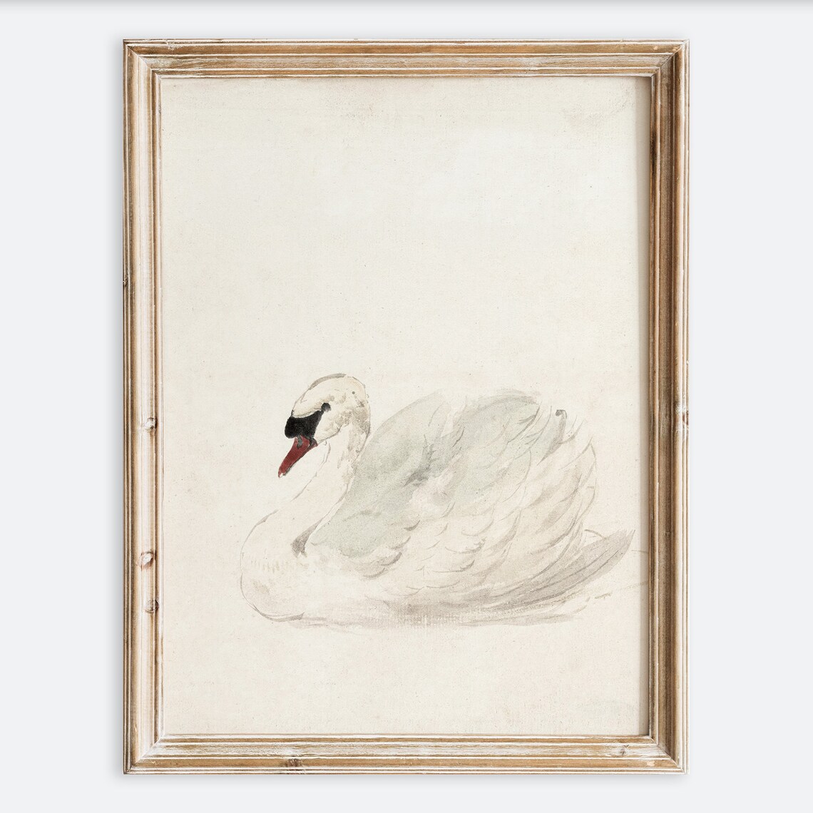 European Vintage Swan Animal Portrait Neutral Painting Wall Art Print Rustic Nursery Farmhouse Antique Minimalist Poster Vp111