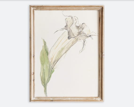 Vintage Wild Lily Flower Still Life Wall Art Print Neutral Rustic Floral Watercolor Painting Antique Moody Farmhouse Botanical Poster Vp377