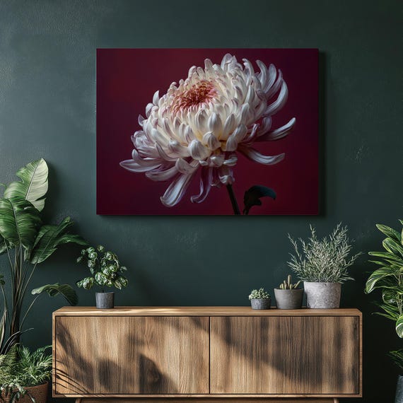 White Chrysanthemum Canvas Wall Art Modern Minimalist Floral Botanical Print Nature Decor Large Flower Photography Pink Petals
