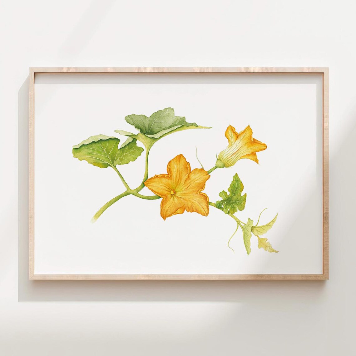 Pumpkin Flower Watercolor Print Botanical Wall Art