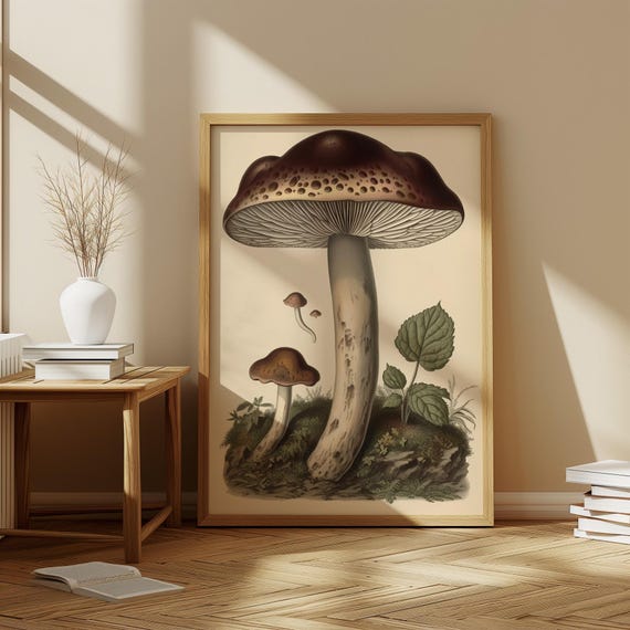 Mushroom Botanical Print Abstract Fungi Wall Art