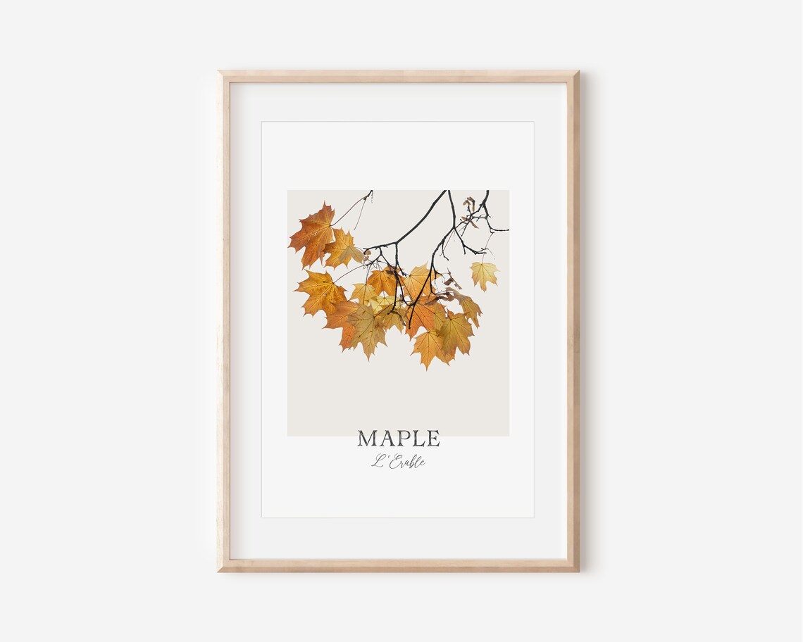 Maple Leaves Print, Fall Decor Botanical Art Print - Image 2
