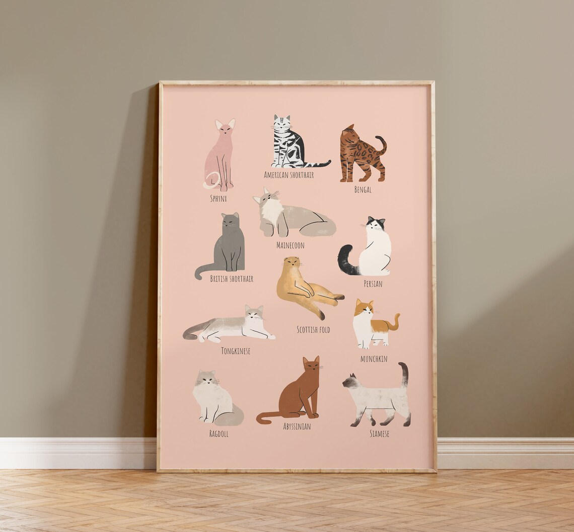 Cat Breeds Poster, Cat Portrait Drawing Guide