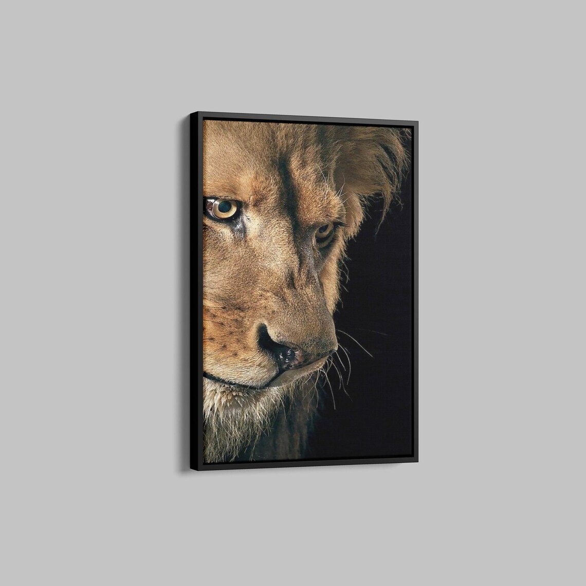 Regal Male Lion Profile Portrait on a Dark Background Poster