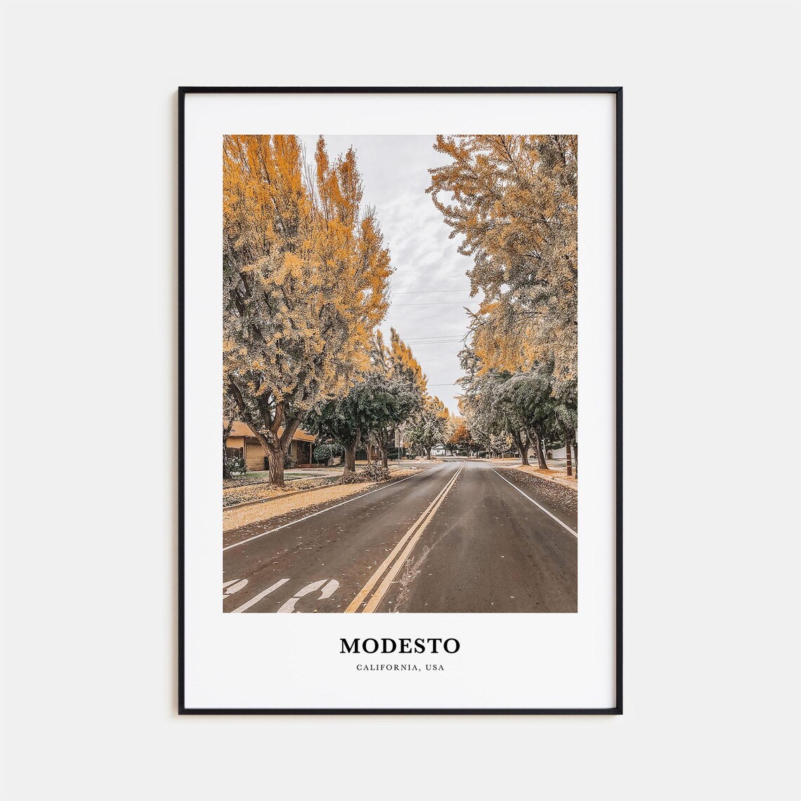Modesto California Fall Street Golden Trees Quiet Suburban Poster