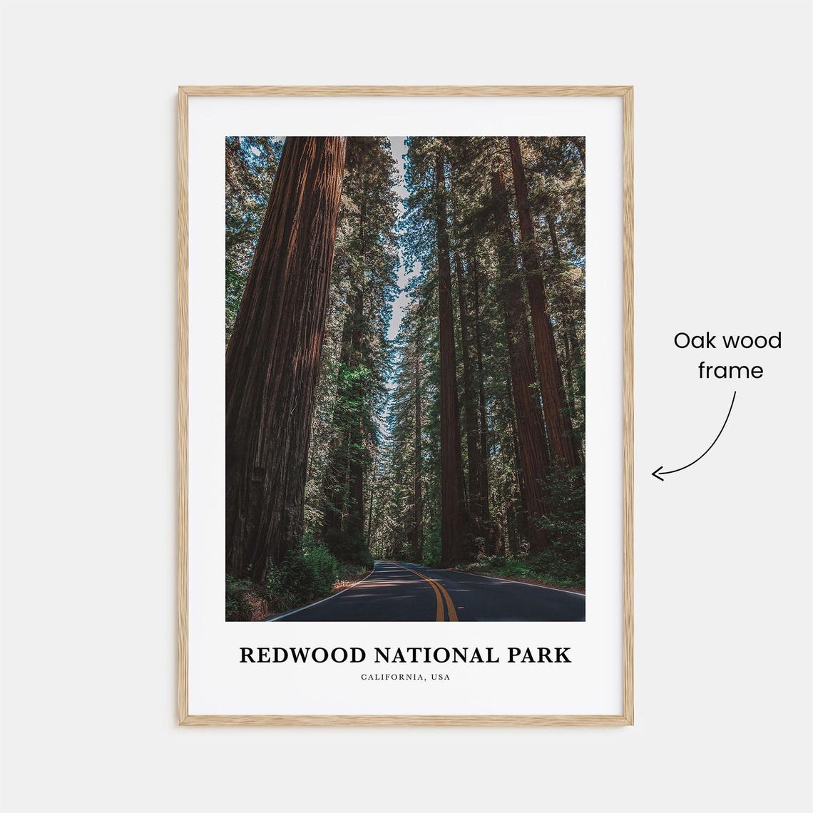 Redwood National Park Giant Trees Road California Photo Poster - Image 3