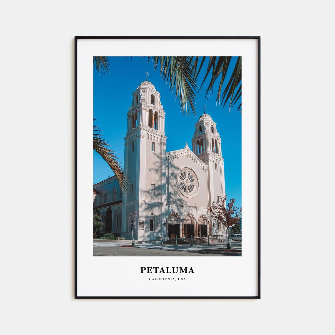 Petaluma California Historic Church Towers Palm Fronds Photo Poster