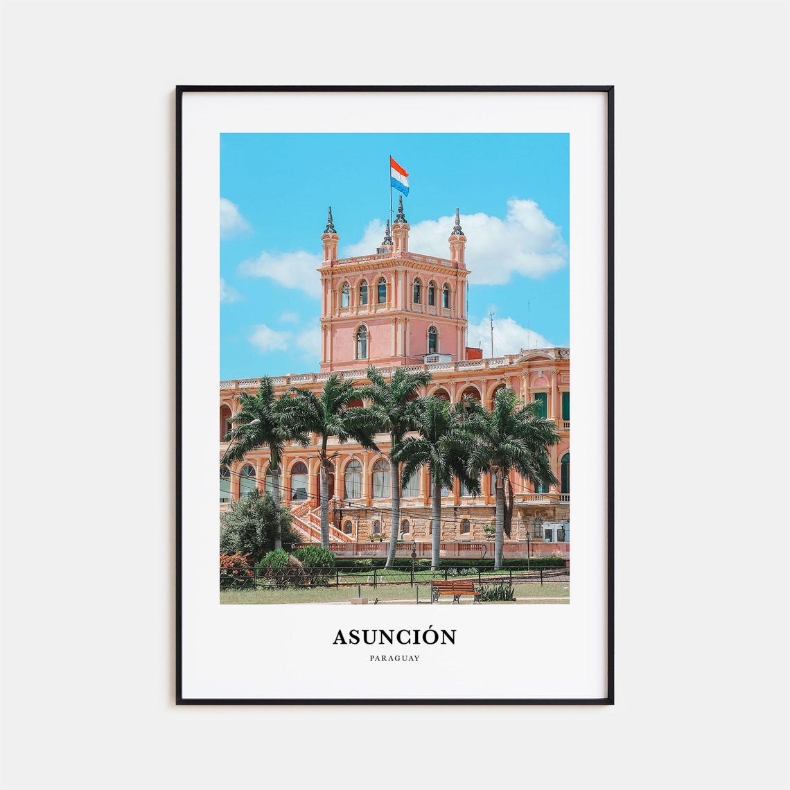 Asuncion Paraguay Grand Pink Palace Palm Trees National Flag Poster