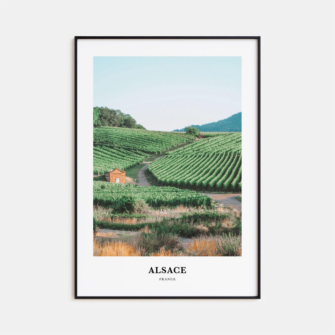 Alsace France Vineyard Hills Photography Travel Poster Wine Art