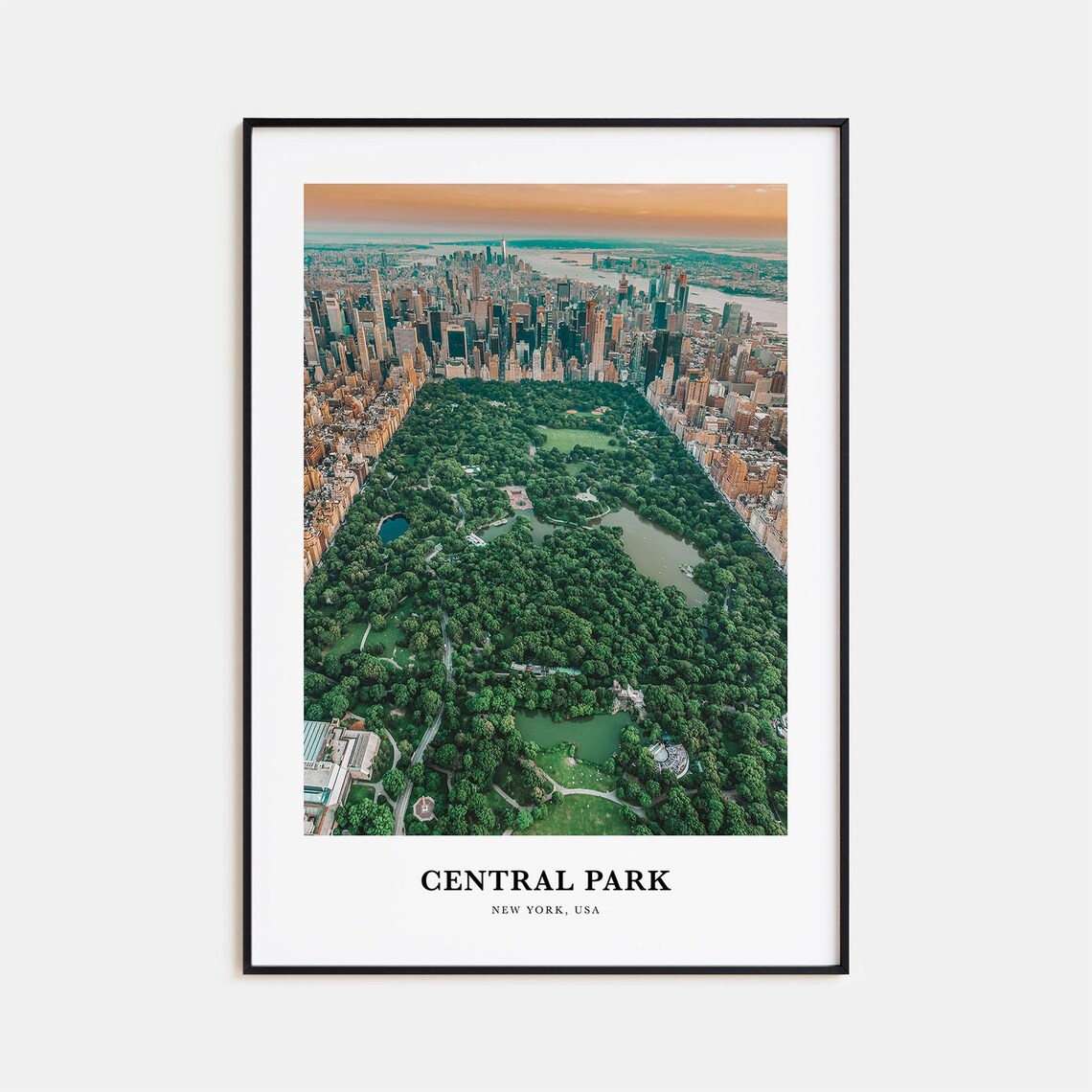 Central Park New York Aerial Photo Manhattan Skyline Wall Poster