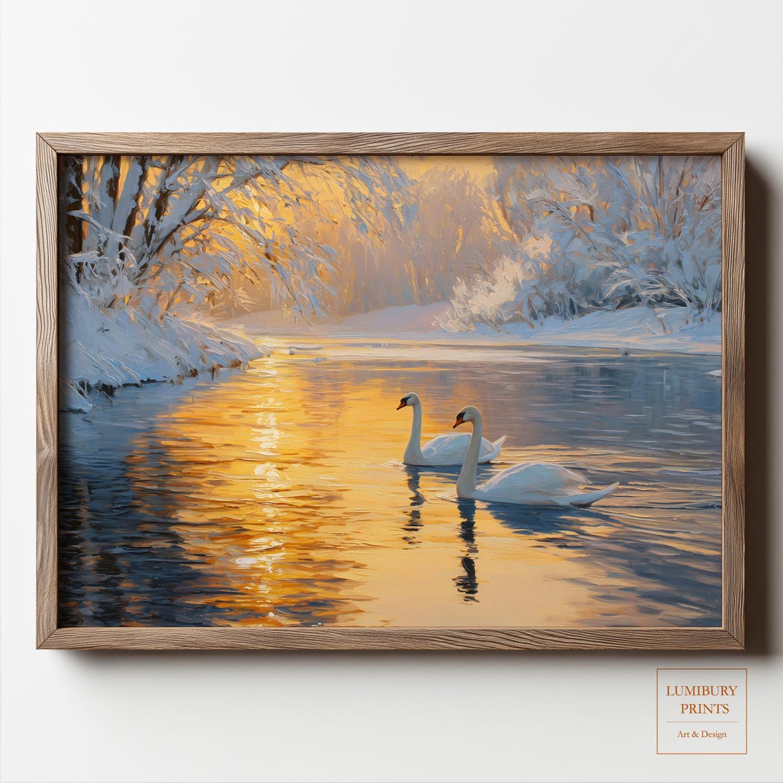 Two Swans Gliding Golden Winter River Snowy Banks Wildlife Wall Art
